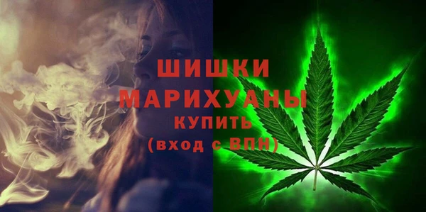 МДПВ Богородицк