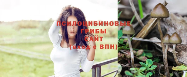 метамфетамин Богородск