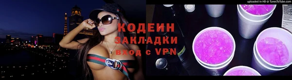 МДПВ Богородицк