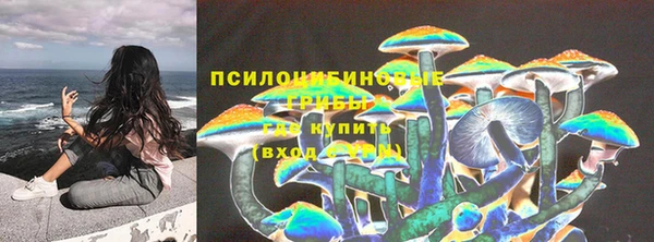 МДПВ Богородицк