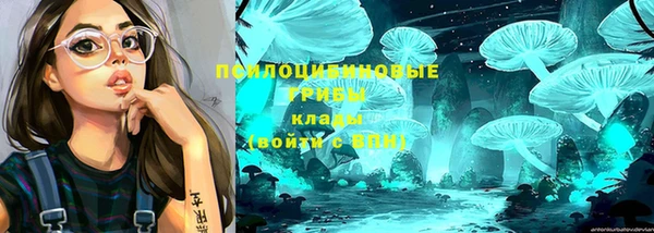 МДПВ Богородицк