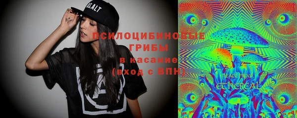 МДПВ Богородицк