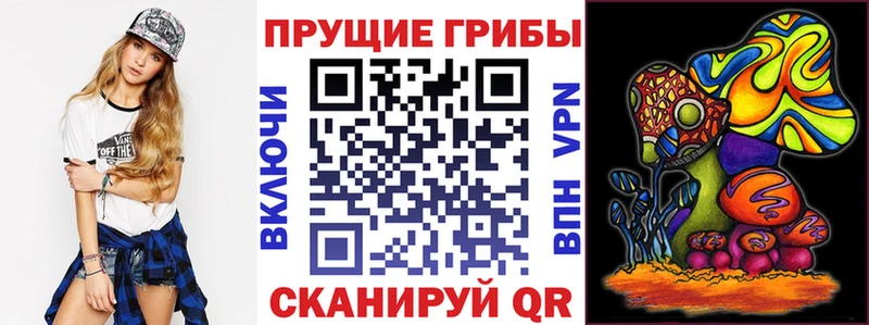 Галлюциногенные грибы мухоморы  darknet какой сайт  Улан-Удэ 
